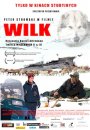 Wilk - plakat