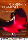 Flamenco, flamenco