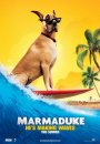 Marmaduke - pies na fali