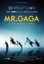 Mr. Gaga - plakat