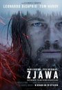 Zjawa - plakat