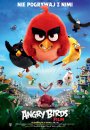 Angry Birds Film - plakat