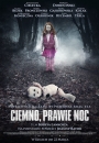 Ciemno, prawie noc - plakat